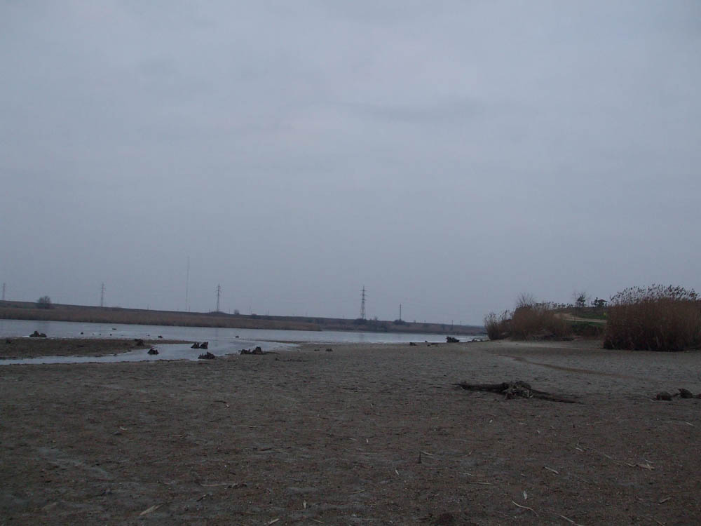 TANCABESTI SECAT - DSCF3471.jpg